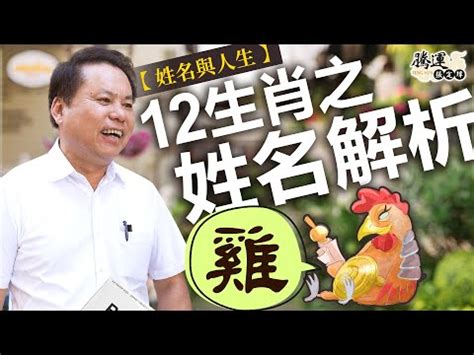 屬雞適合的名字|【生肖姓名學】生肖屬雞喜忌用字－歹命人自救會：「補八字六派。